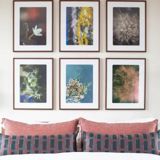 Six matching walnut-framed botanical photographs hung as a two by three grid above a bed